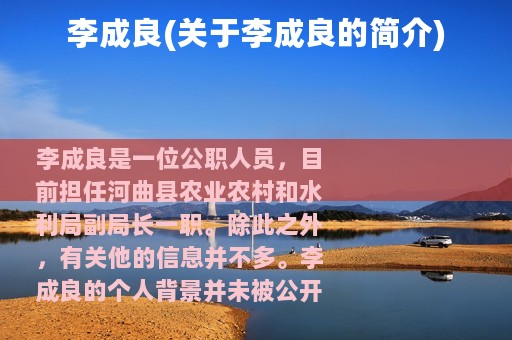 李成良(关于李成良的简介)