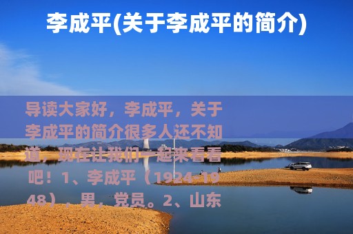 李成平(关于李成平的简介)