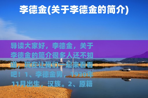 李德金(关于李德金的简介)