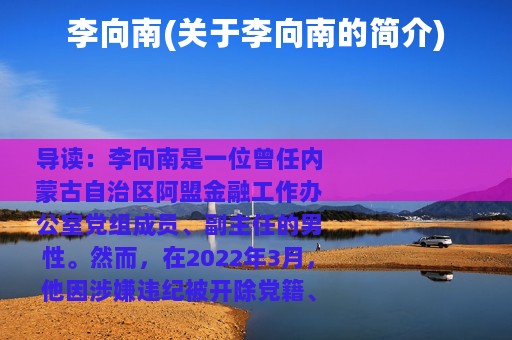 李向南(关于李向南的简介)