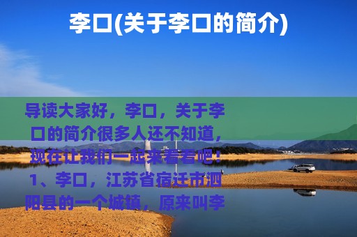 李口(关于李口的简介)