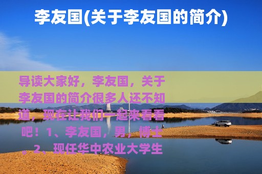 李友国(关于李友国的简介)