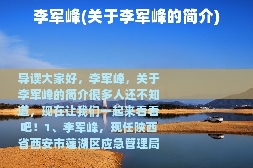 李军峰(关于李军峰的简介)