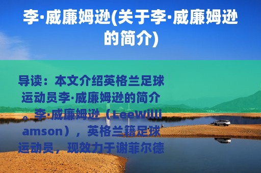 李·威廉姆逊(关于李·威廉姆逊的简介)