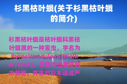 杉黑枯叶蛾(关于杉黑枯叶蛾的简介)