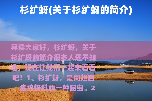 杉纩蚜(关于杉纩蚜的简介)