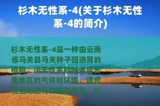 杉木无性系-4(关于杉木无性系-4的简介)
