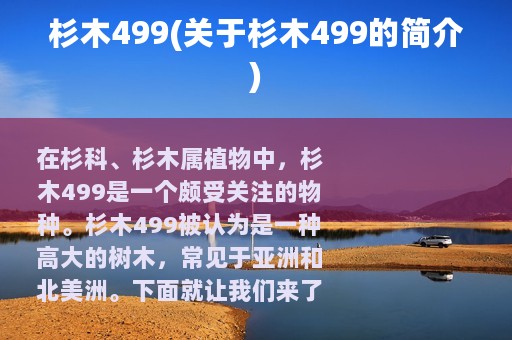 杉木499(关于杉木499的简介)