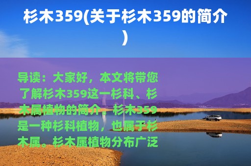 杉木359(关于杉木359的简介)