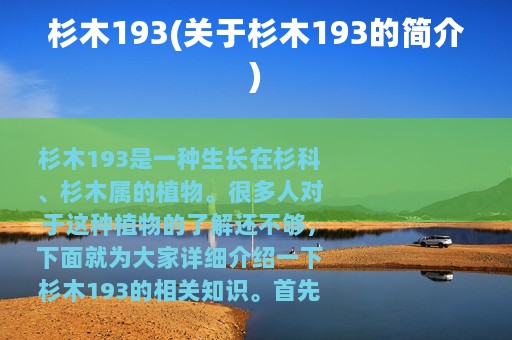 杉木193(关于杉木193的简介)