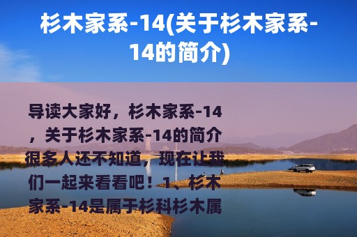 杉木家系-14(关于杉木家系-14的简介)