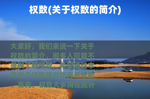 权数(关于权数的简介)