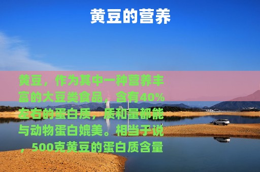 黄豆的营养