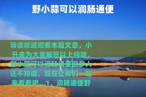 野小蒜可以润肠通便