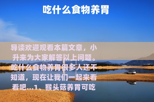 吃什么食物养胃 