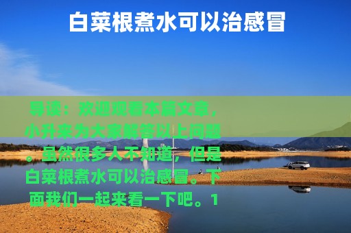 白菜根煮水可以治感冒