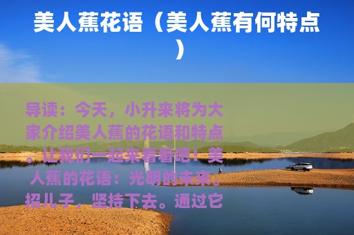 美人蕉花语（美人蕉有何特点）