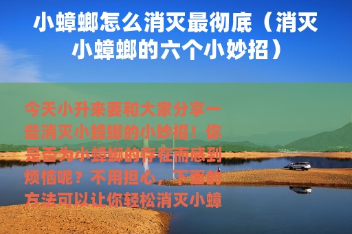 小蟑螂怎么消灭最彻底（消灭小蟑螂的六个小妙招）