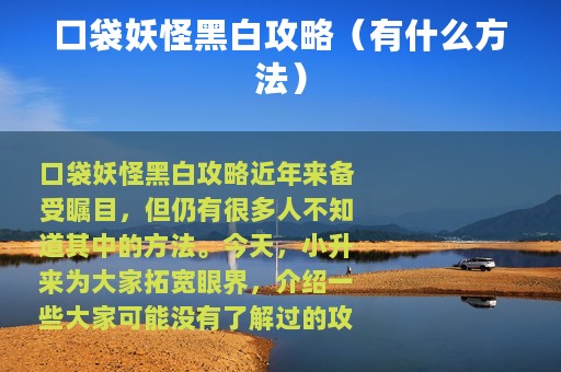 口袋妖怪黑白攻略（有什么方法）