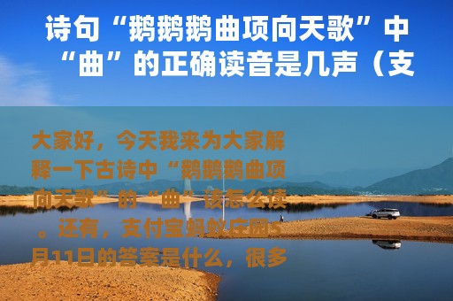 诗句“鹅鹅鹅曲项向天歌”中“曲”的正确读音是几声（支付宝蚂蚁庄园5月11日答案）