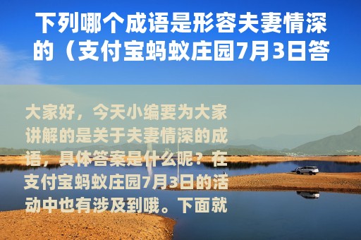 下列哪个成语是形容夫妻情深的（支付宝蚂蚁庄园7月3日答案）