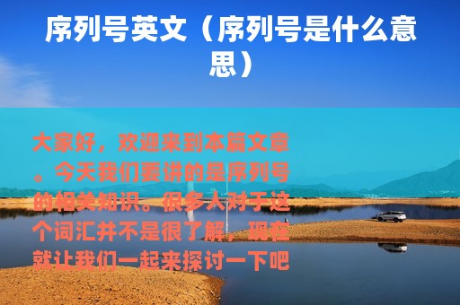 序列号英文（序列号是什么意思）