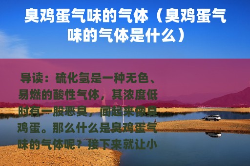 臭鸡蛋气味的气体（臭鸡蛋气味的气体是什么）