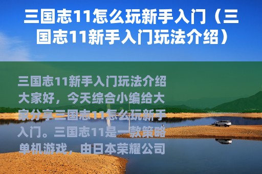 三国志11怎么玩新手入门（三国志11新手入门玩法介绍）