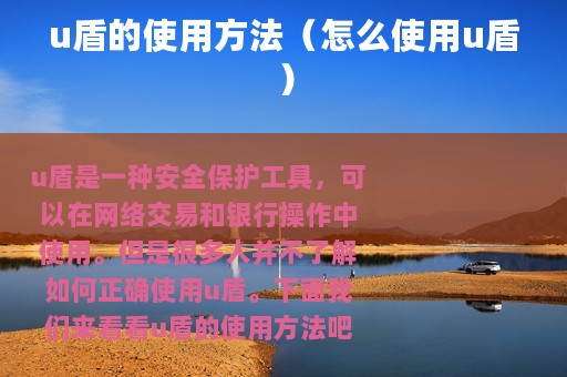 u盾的使用方法（怎么使用u盾）
