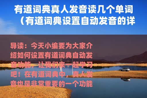 有道词典真人发音读几个单词（有道词典设置自动发音的详细操作）