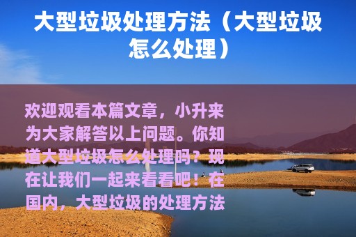 大型垃圾处理方法（大型垃圾怎么处理）