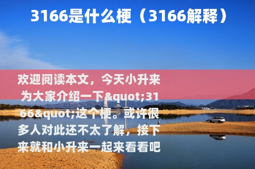 3166是什么梗（3166解释）