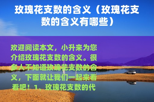 玫瑰花支数的含义（玫瑰花支数的含义有哪些）