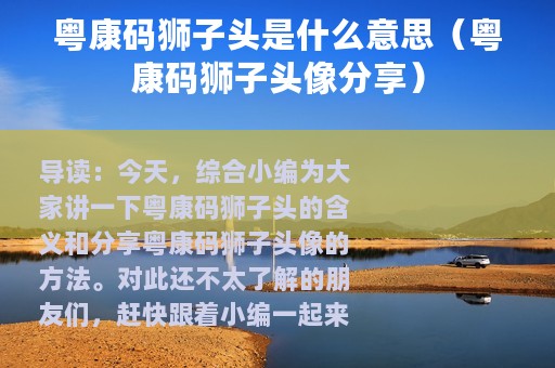 粤康码狮子头是什么意思（粤康码狮子头像分享）