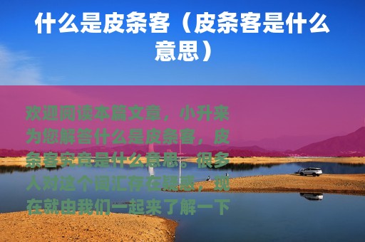 什么是皮条客（皮条客是什么意思）