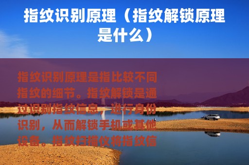指纹识别原理（指纹解锁原理是什么）