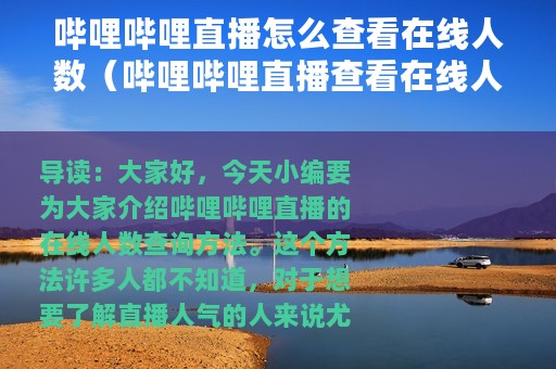 哔哩哔哩直播怎么查看在线人数（哔哩哔哩直播查看在线人数方法）