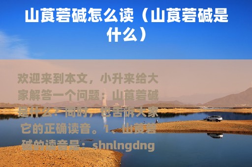 山莨菪碱怎么读（山莨菪碱是什么）