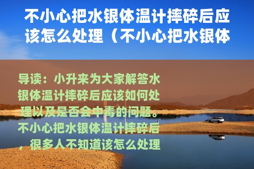 不小心把水银体温计摔碎后应该怎么处理（不小心把水银体温计摔碎会中毒吗）