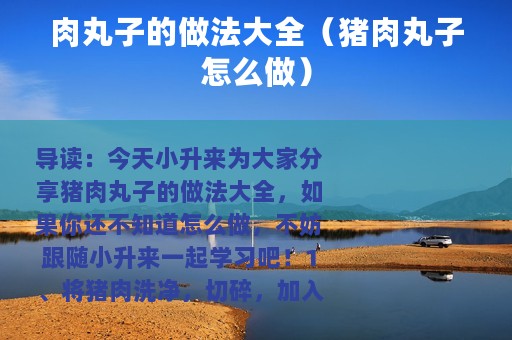 肉丸子的做法大全（猪肉丸子怎么做）