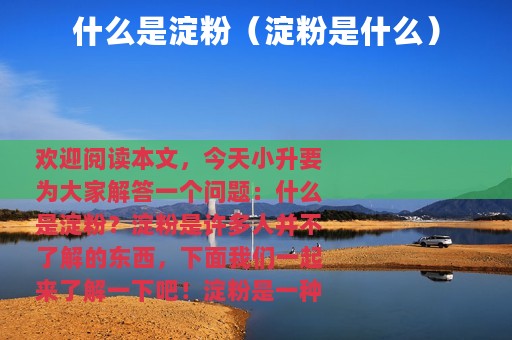 什么是淀粉（淀粉是什么）