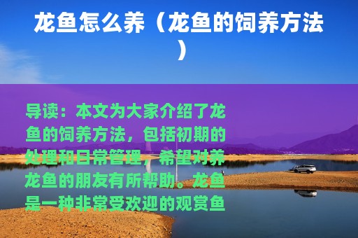 龙鱼怎么养（龙鱼的饲养方法）