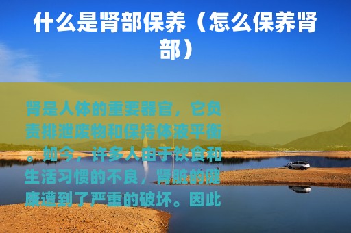 什么是肾部保养（怎么保养肾部）
