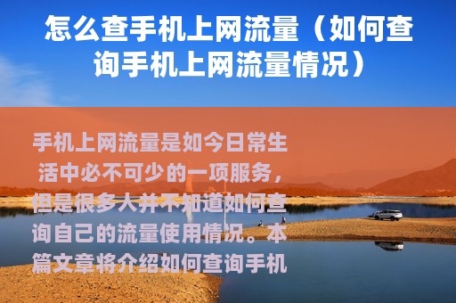 怎么查手机上网流量（如何查询手机上网流量情况）