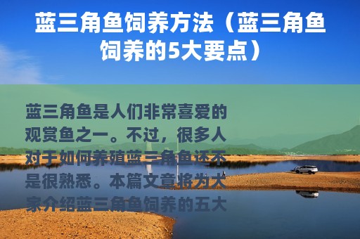 蓝三角鱼饲养方法（蓝三角鱼饲养的5大要点）