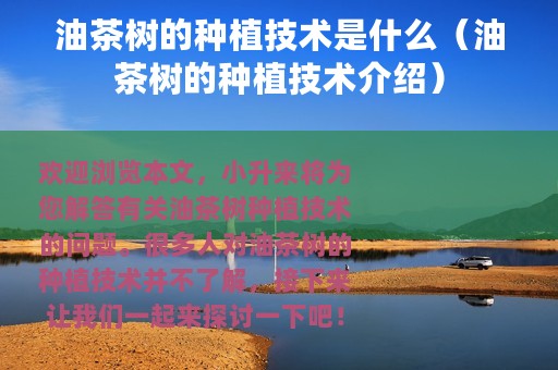 油茶树的种植技术是什么（油茶树的种植技术介绍）