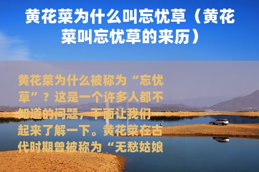 黄花菜为什么叫忘忧草（黄花菜叫忘忧草的来历）