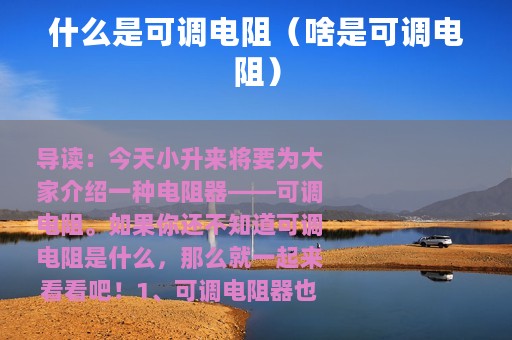 什么是可调电阻（啥是可调电阻）