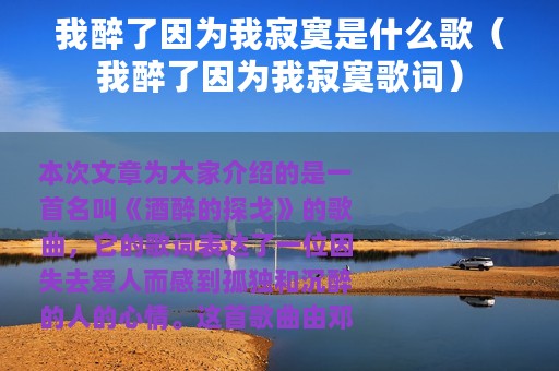我醉了因为我寂寞是什么歌（我醉了因为我寂寞歌词）