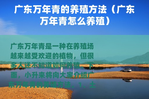 广东万年青的养殖方法（广东万年青怎么养殖）